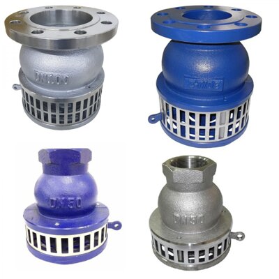 Foot strainer valves for water inlet protection for suction systems includes filter screen, internal check valve protecting against loss of suction and aids in pump priming reducing suction pump run dry time and incorporates a lever operated back flush system.